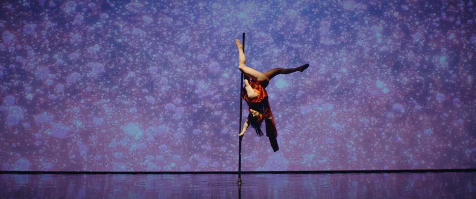 シャイニー・シュリンプス！世界に羽ばたけ 14枚目の写真・画像