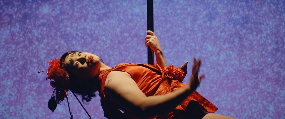 シャイニー・シュリンプス！世界に羽ばたけ 15枚目の写真・画像