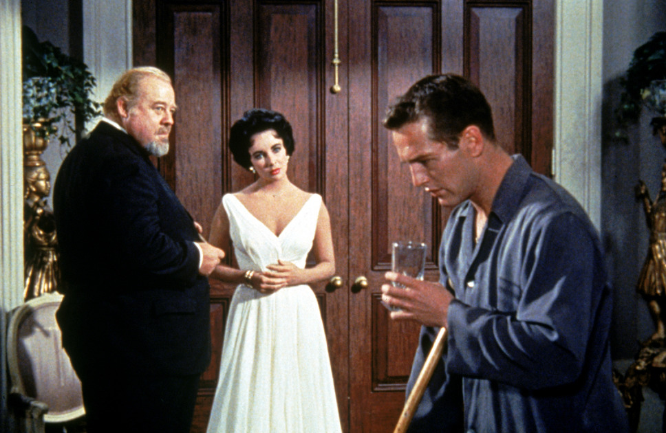 熱いトタン屋根の猫 5枚目の写真・画像