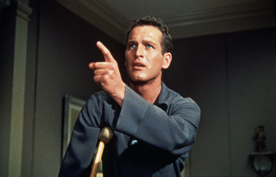 熱いトタン屋根の猫 6枚目の写真・画像