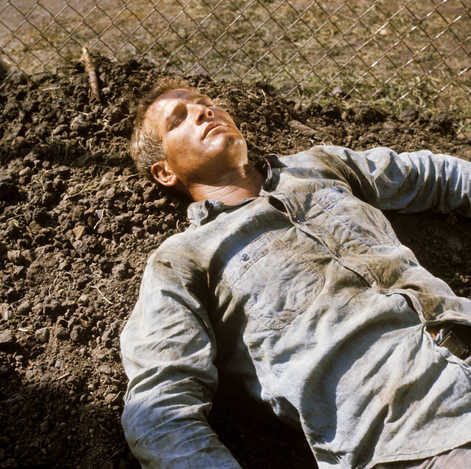 暴力脱獄 4枚目の写真・画像