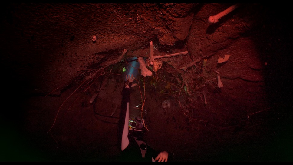 ザ・ディープ・ハウス 11枚目の写真・画像