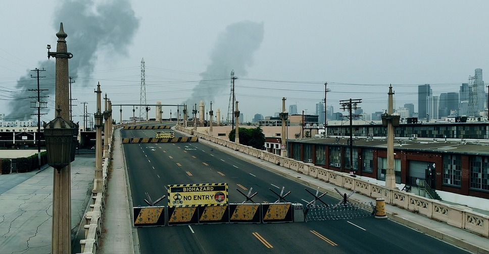 ソングバード 8枚目の写真・画像