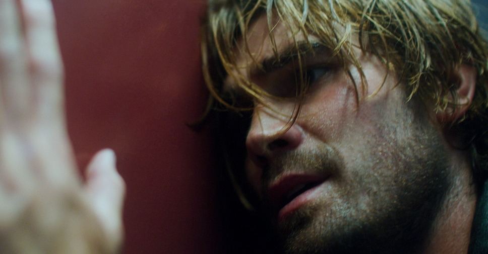 ソングバード 13枚目の写真・画像