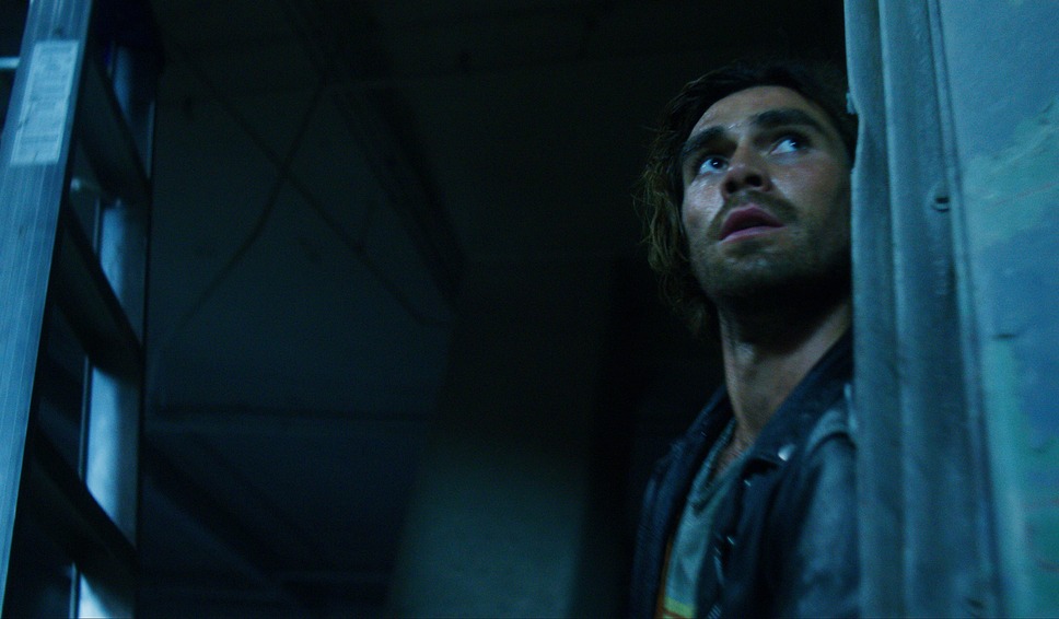 ソングバード 15枚目の写真・画像