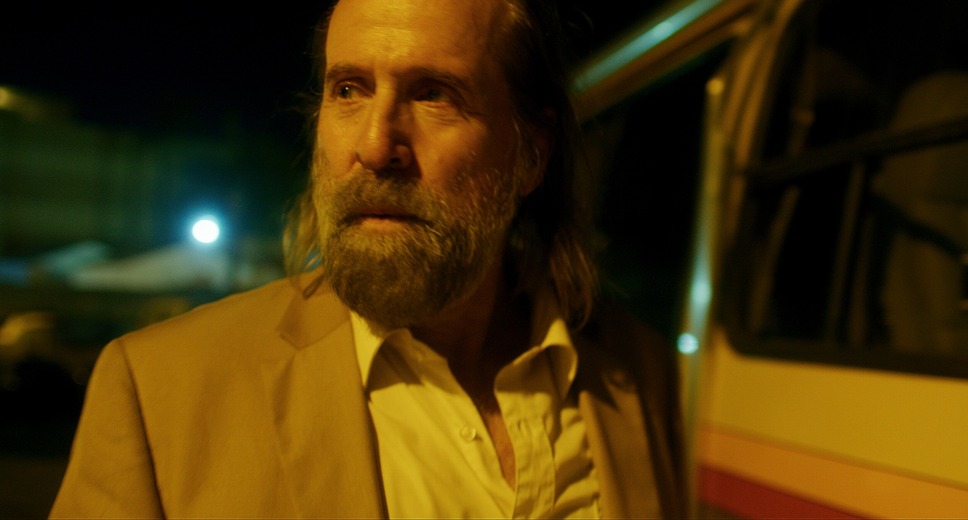 ソングバード 16枚目の写真・画像