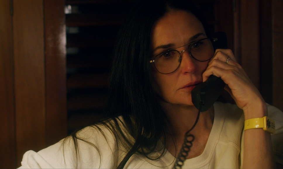 ソングバード 21枚目の写真・画像