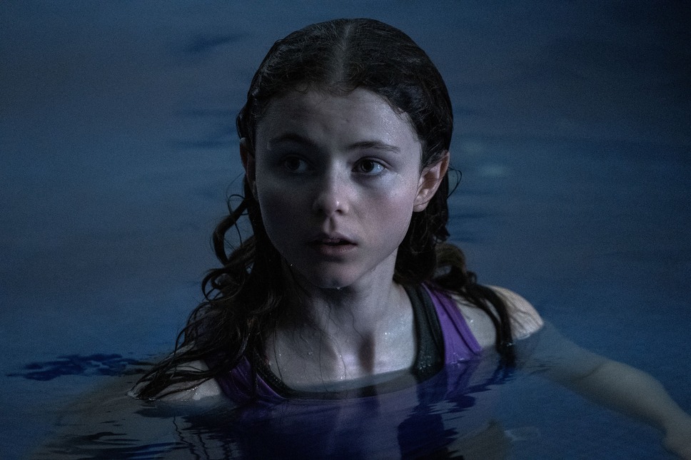 ドライビング・バニー 15枚目の写真・画像