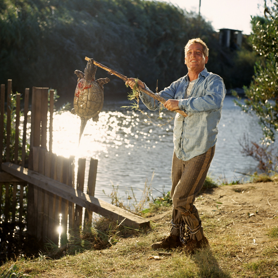 暴力脱獄 8枚目の写真・画像