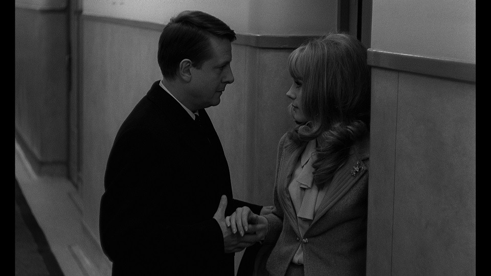 柔らかい肌 3枚目の写真・画像