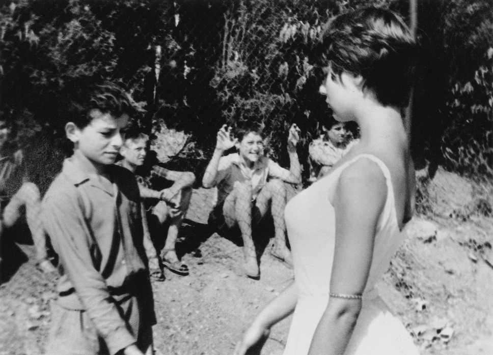 あこがれ 2枚目の写真・画像