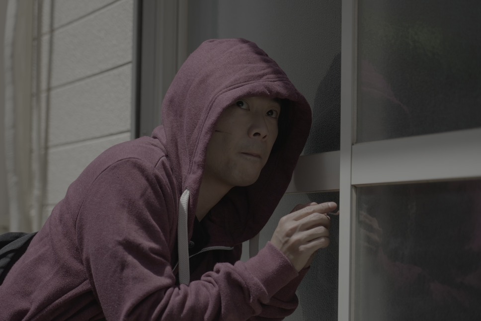 それぞれの花 3枚目の写真・画像