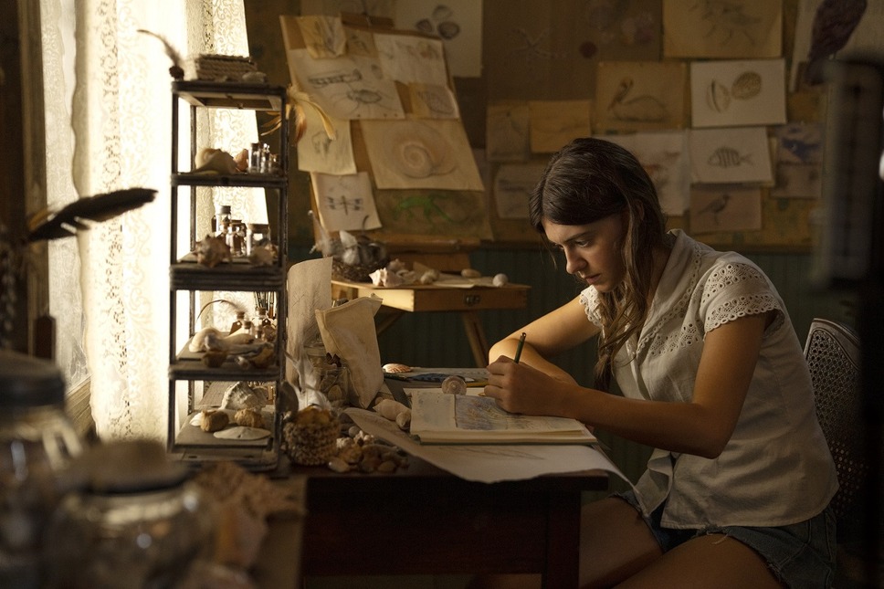 ザリガニの鳴くところ 6枚目の写真・画像