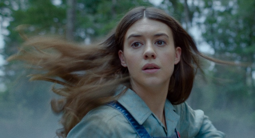 ザリガニの鳴くところ 7枚目の写真・画像