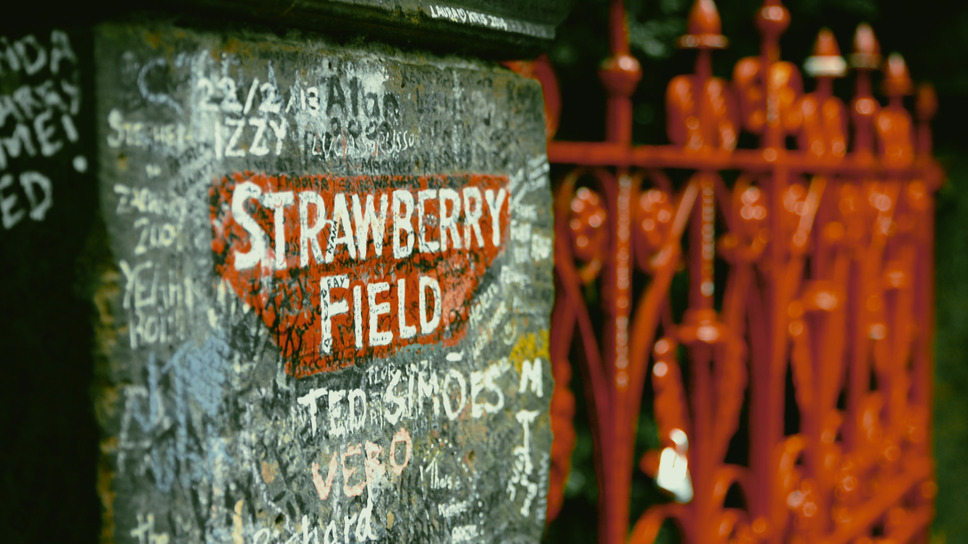 ©SEIS Productions Limited