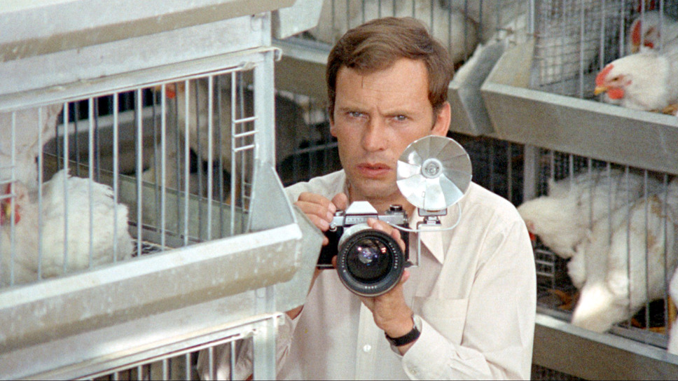 殺しを呼ぶ卵 8枚目の写真・画像