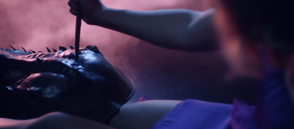 キラーカブトガニ 3枚目の写真・画像