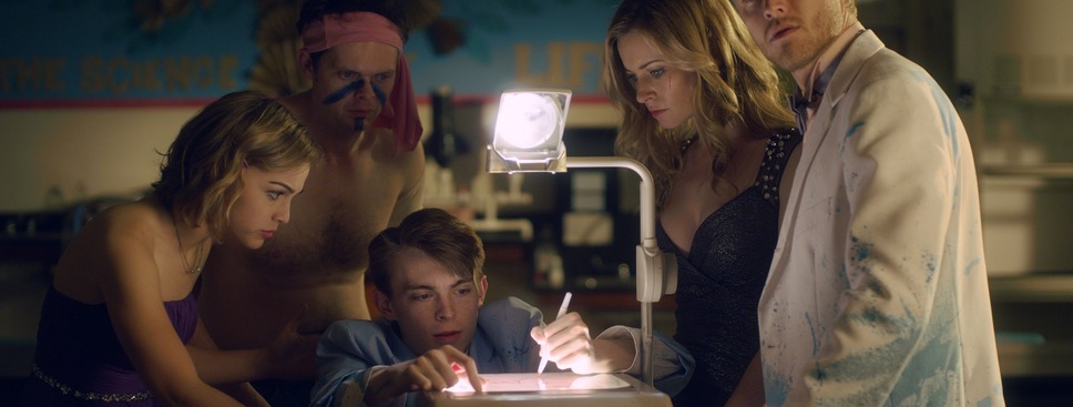 キラーカブトガニ 4枚目の写真・画像