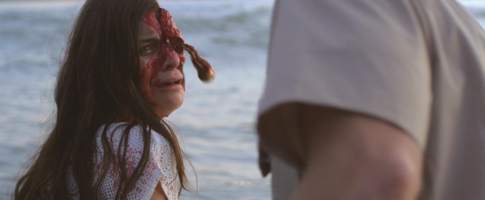 キラーカブトガニ 5枚目の写真・画像