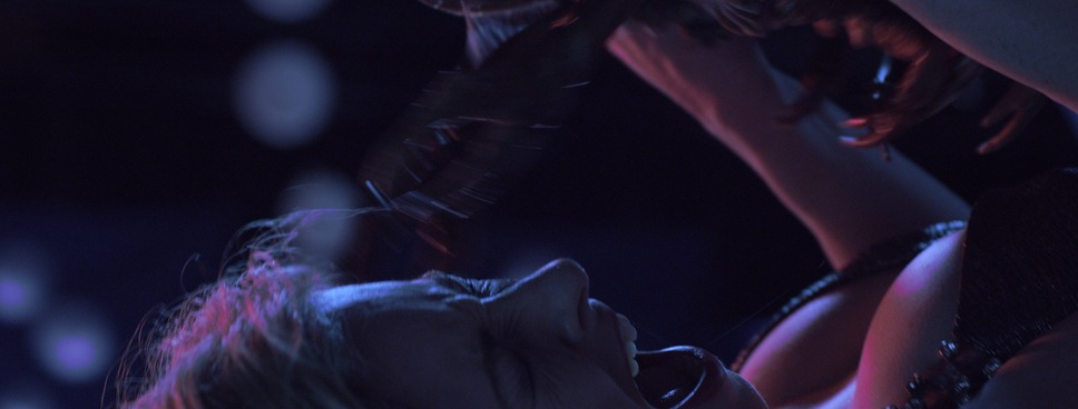 キラーカブトガニ 8枚目の写真・画像