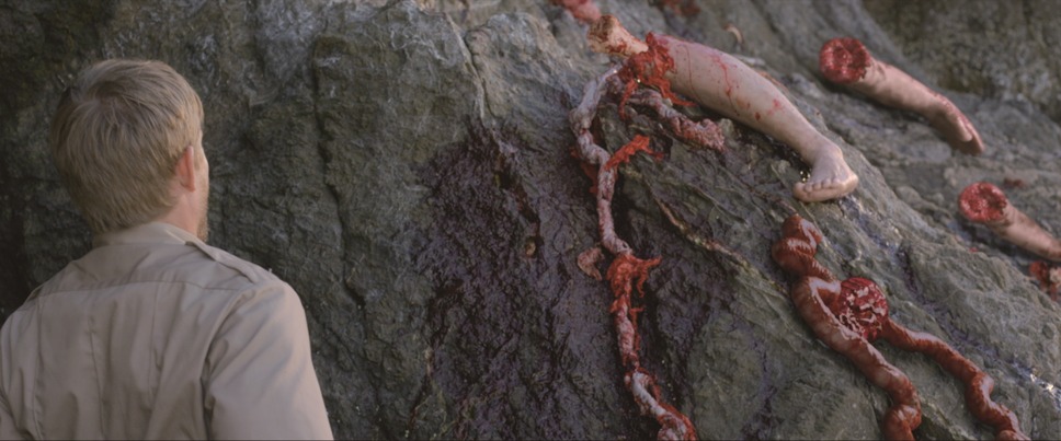 キラーカブトガニ 10枚目の写真・画像