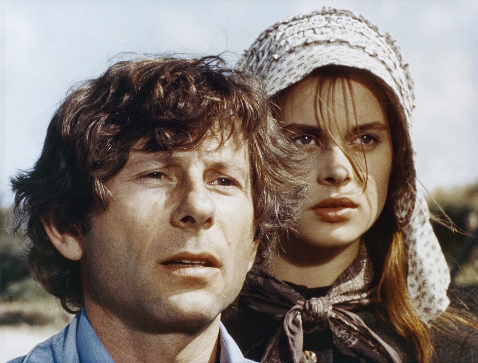 テス 7枚目の写真・画像