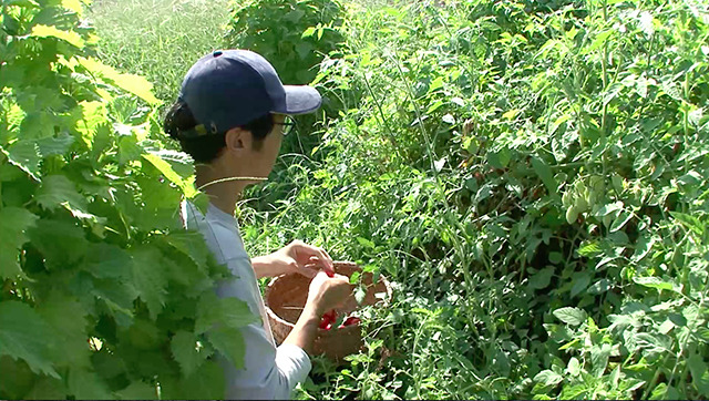 若者は山里をめざす 4枚目の写真・画像