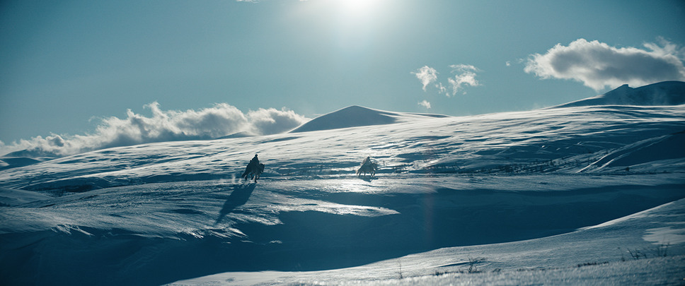 シンデレラ 3つの願い 6枚目の写真・画像