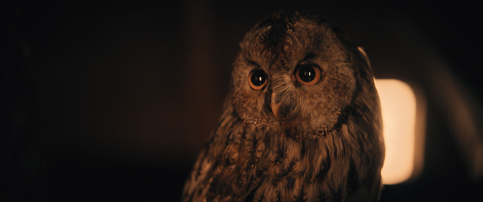 シンデレラ 3つの願い 8枚目の写真・画像