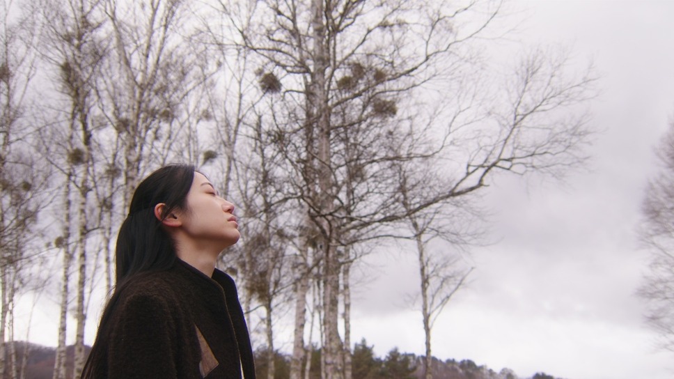 ココロのバショ 2枚目の写真・画像