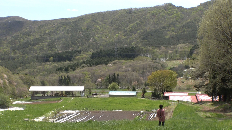 飯舘村 べこやの母ちゃん ーそれぞれの選択 2枚目の写真・画像