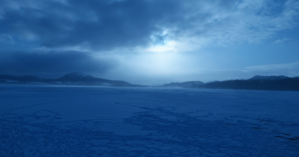 白獣 3枚目の写真・画像