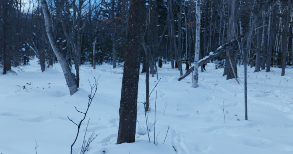 白獣 5枚目の写真・画像