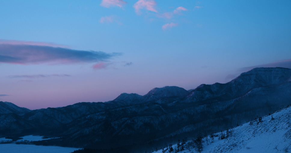白獣 8枚目の写真・画像