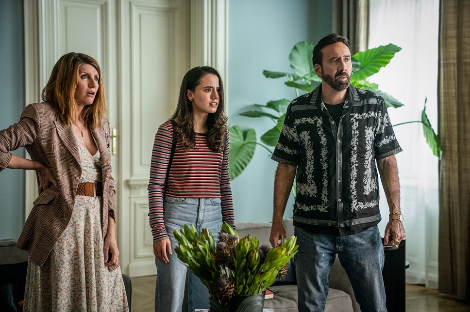 マッシブ・タレント 8枚目の写真・画像