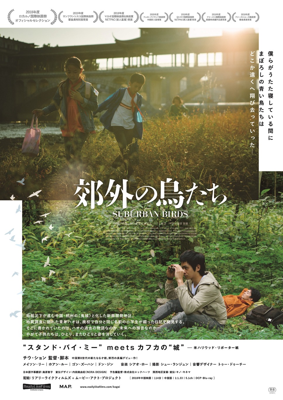 郊外の鳥たち 2枚目の写真・画像