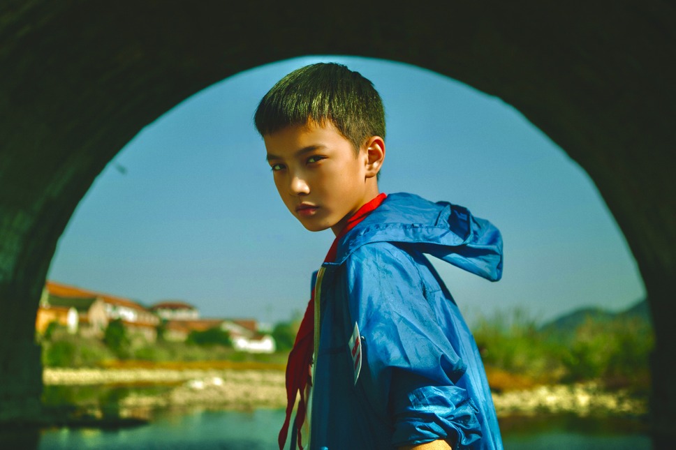 郊外の鳥たち 3枚目の写真・画像