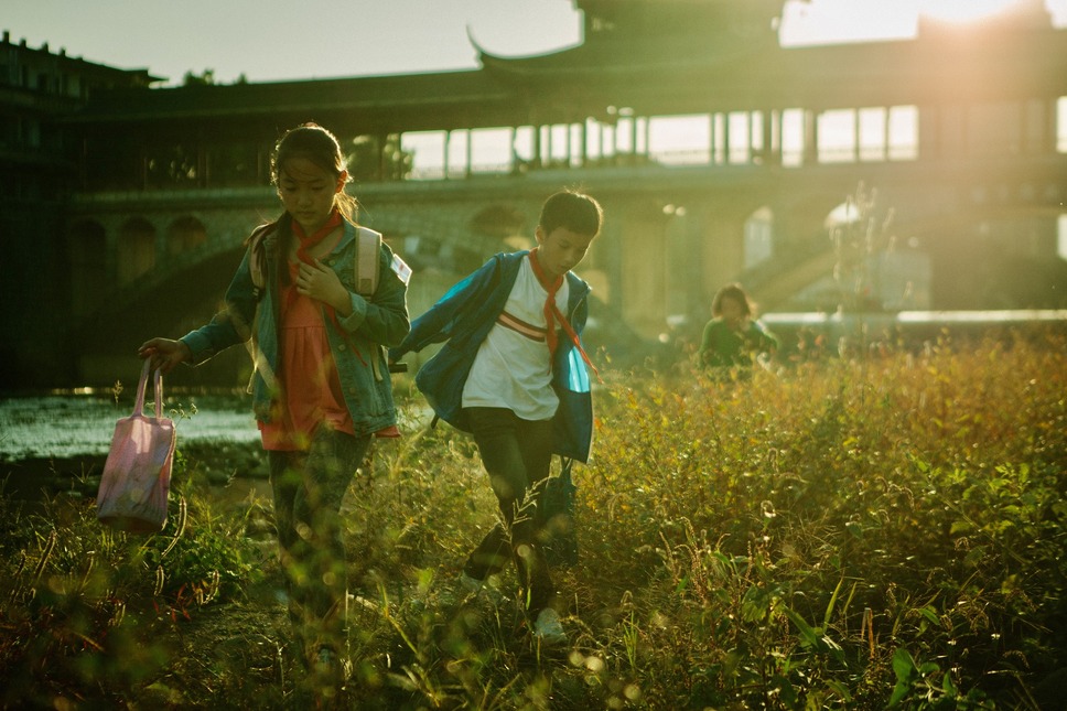 郊外の鳥たち 5枚目の写真・画像