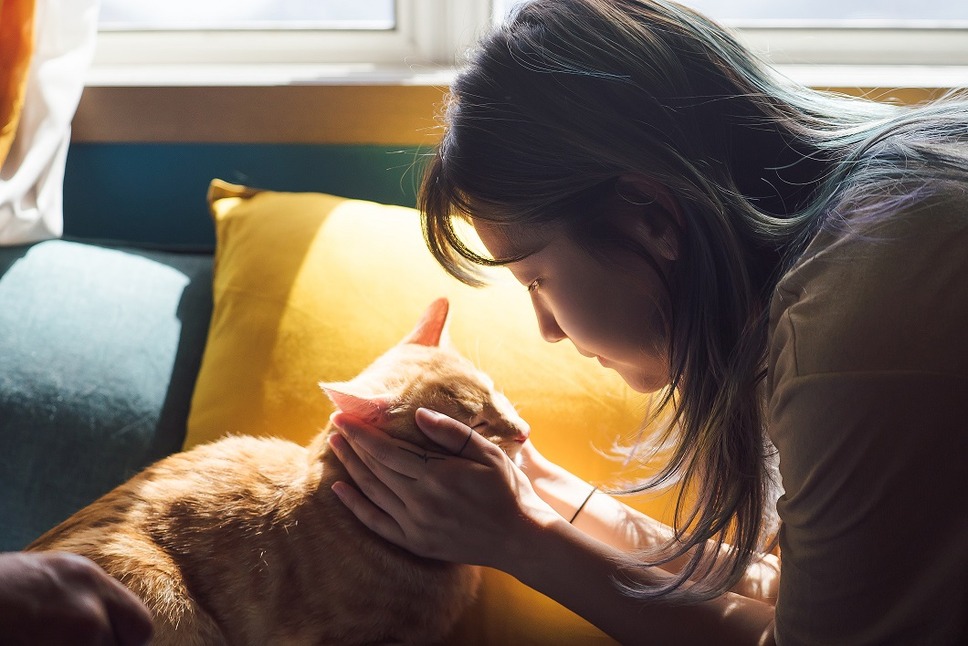 パーフェクト・ドライバー 成功確率100％の女 23枚目の写真・画像