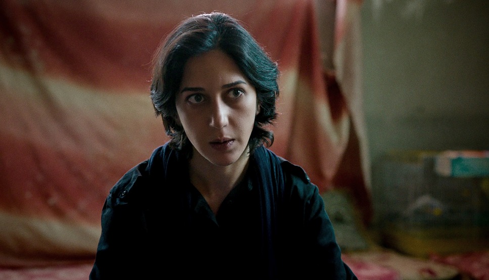 聖地には蜘蛛が巣を張る 5枚目の写真・画像