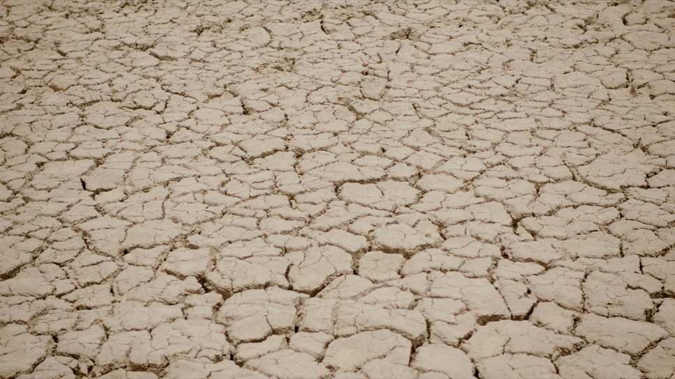 ©GREAT GREEN WALL, LTD