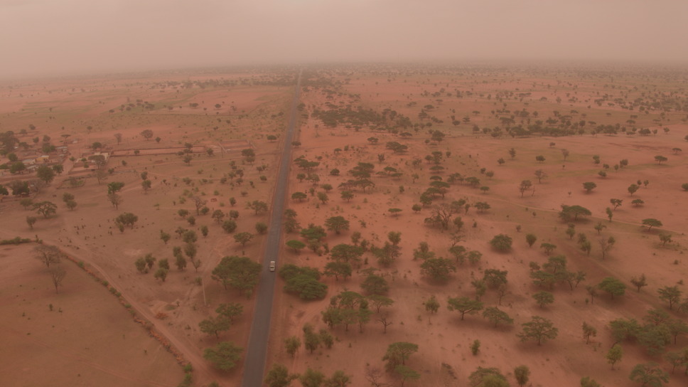 ©GREAT GREEN WALL, LTD