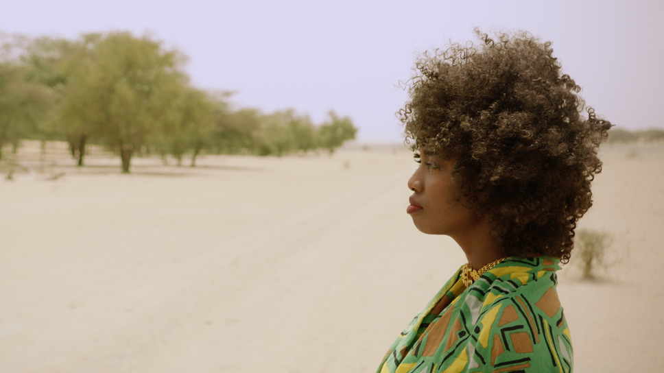 ©GREAT GREEN WALL, LTD