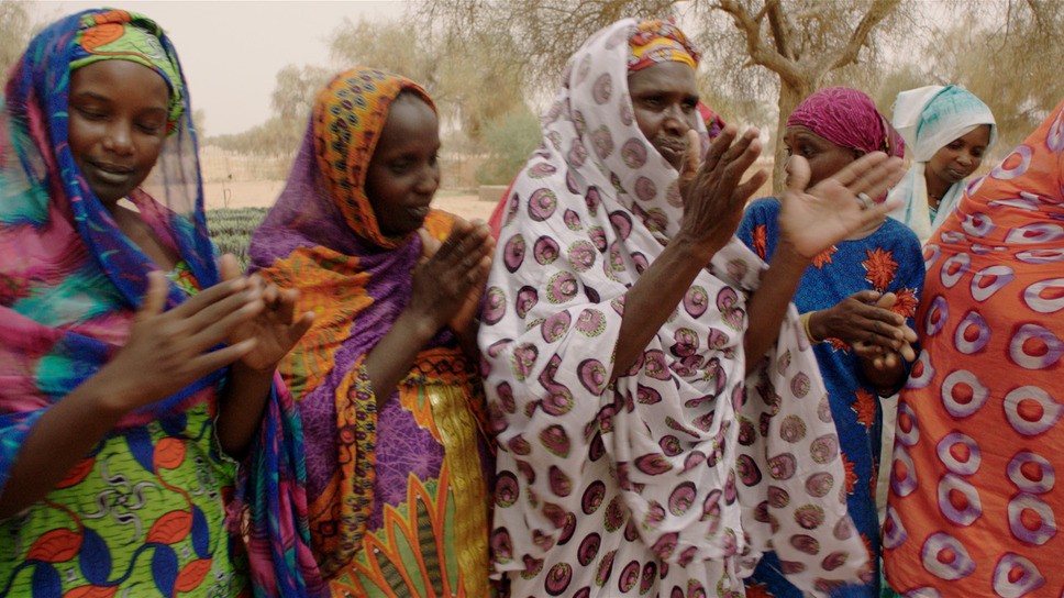 ©GREAT GREEN WALL, LTD