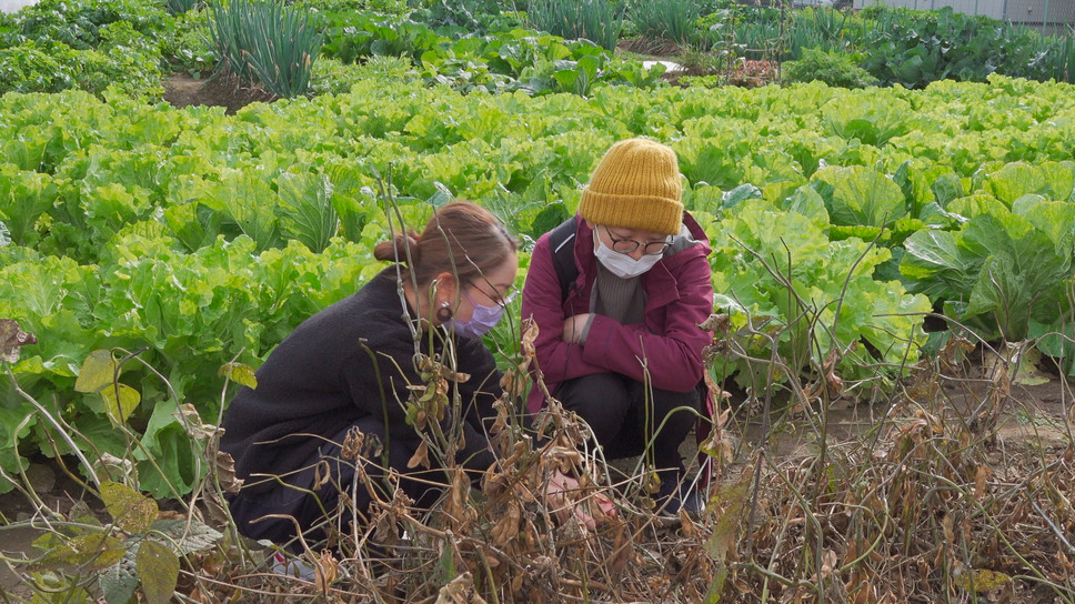 ケアを紡いで 7枚目の写真・画像