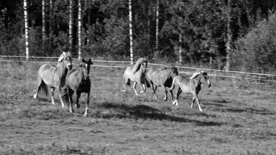 マイヤ・イソラ 旅から生まれるデザイン 8枚目の写真・画像