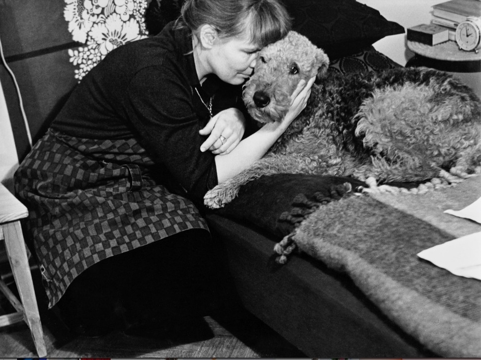 マイヤ・イソラ 旅から生まれるデザイン 12枚目の写真・画像