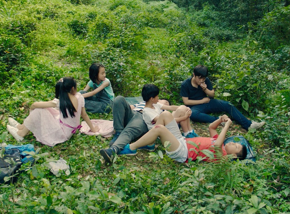 郊外の鳥たち 6枚目の写真・画像