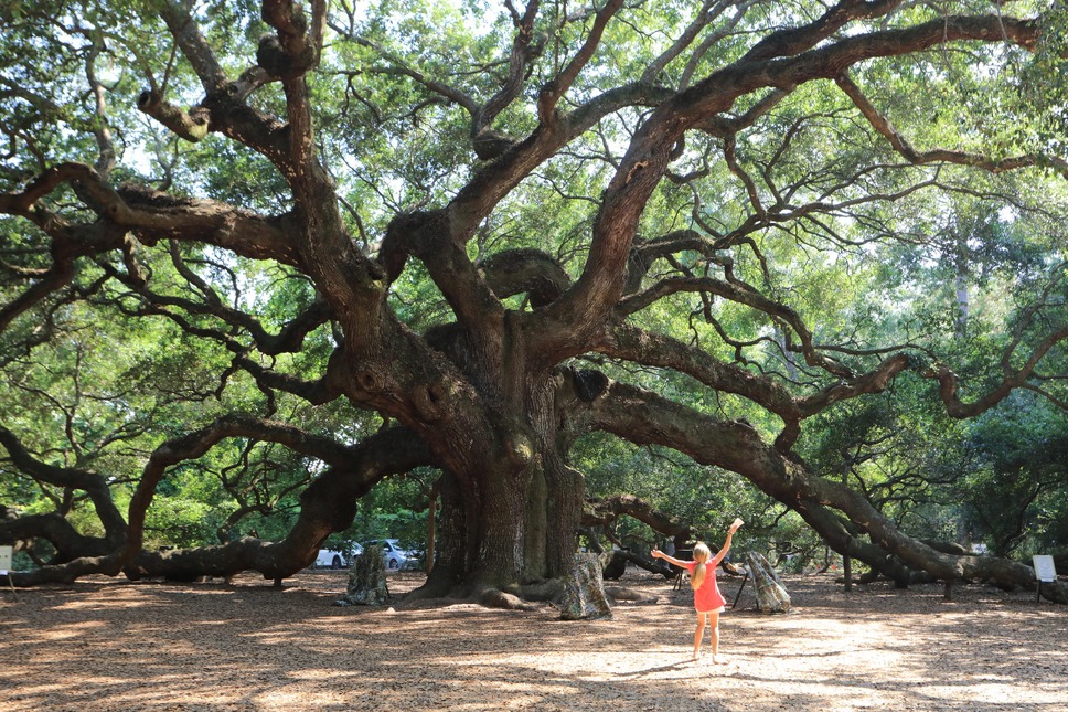 イントゥ・ザ・ネイチャー 自然が教えてくれること 9枚目の写真・画像