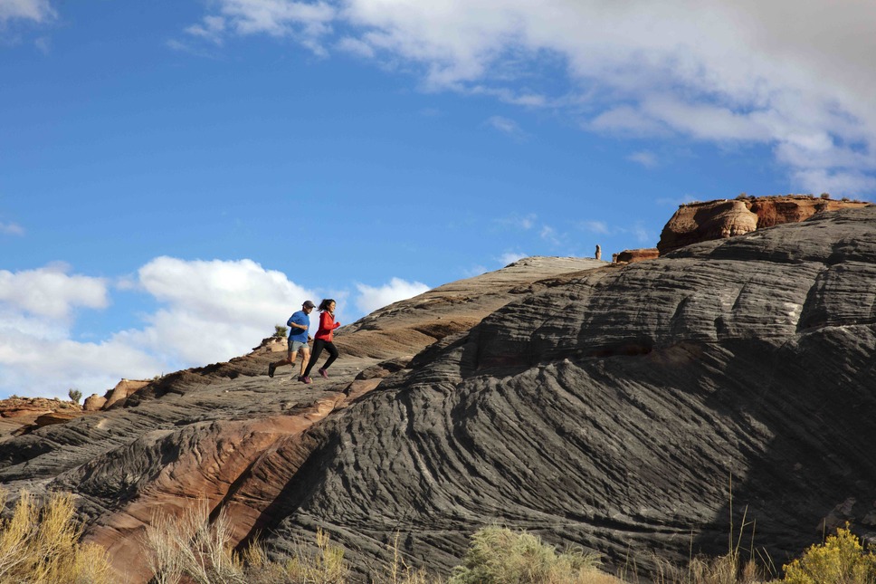 イントゥ・ザ・ネイチャー 自然が教えてくれること 10枚目の写真・画像